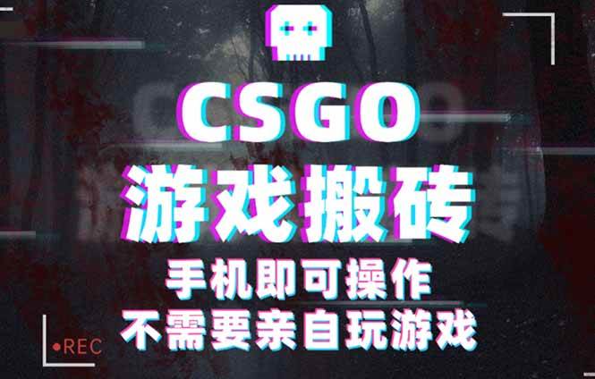 （16090期）CSGO游戏挂机捡漏，一天扫货500+，年底小高峰上车吃肉，手机就能搞定-安索博客网
