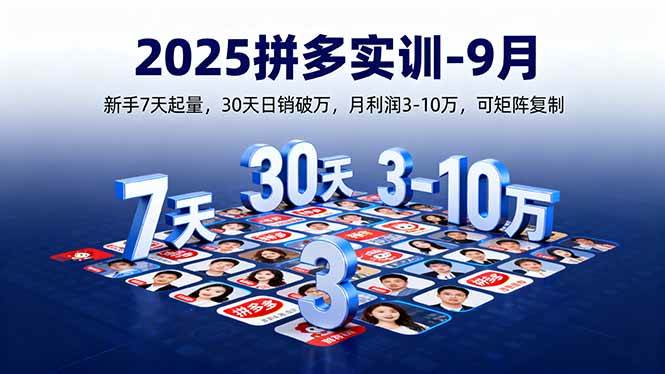 （16008期）2025拼多多实训-9月：新手7天起量，30天日销破万，月利润3-10万，还能复制模式-安索博客网