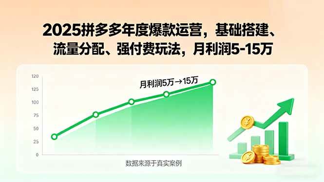 （15973期）2025拼多多年度爆款运营，基础搭建、流量分配、强付费玩法，月利润5-15万-安索博客网