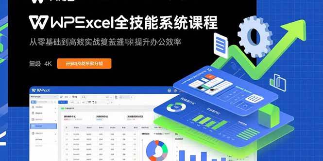 （15873期）WPS Excel全能课：从小白到高手，搞定办公效率-安索博客网