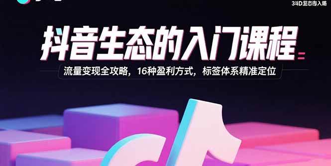 抖音入门课：流量变现实战指南，16种搞钱方法，标签系统精准定位-安索博客网