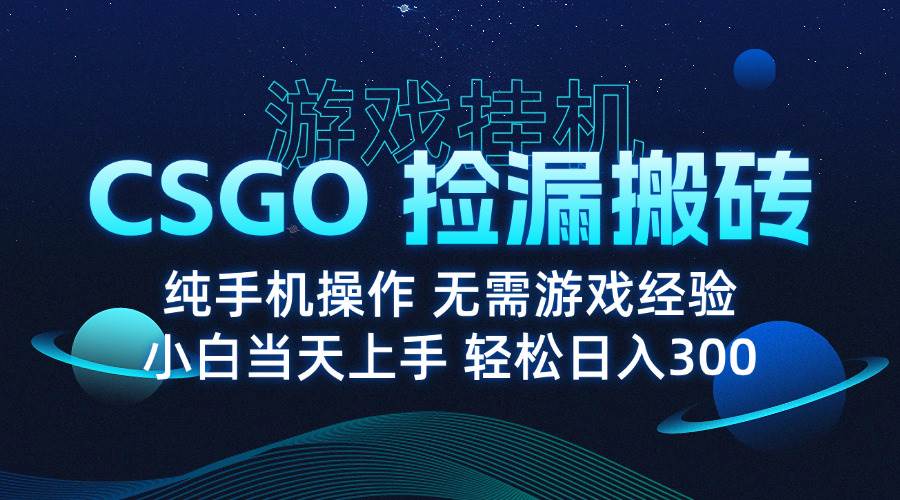 （15820期）8月最新游戏搬砖，CSGO纯挂机，不用动手也能月入1W+-安索博客网