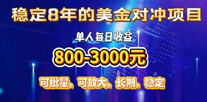 （15782期）做了8年的美金对冲项目，一个人就能干，每天赚800-3000，小众又暴利-安索博客网