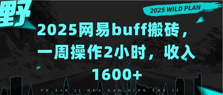 （15666期）2025网易Buff搬砖，一周只花2小时，收入1600+-安索博客网