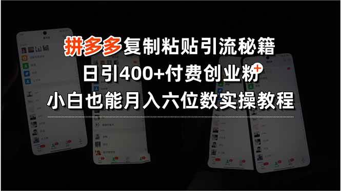 拼多多引流创业粉秘籍：一天引400+付费粉，新手也能月入六位数-安索博客网