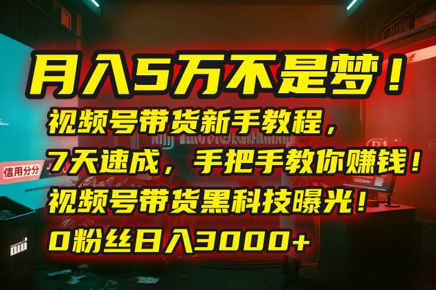 月入5万不是梦！视频号带货新手教程，7天速成，手把手教你赚钱！-安索博客网