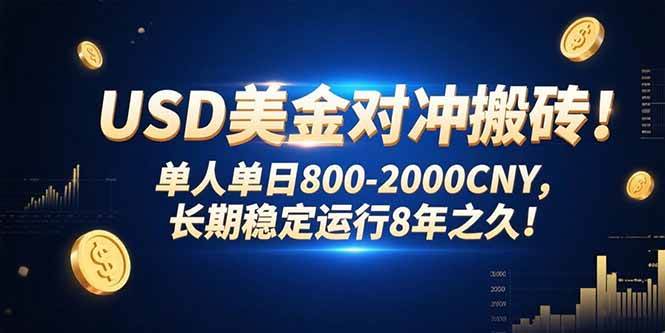 15551期：美金对冲搬砖，单人每天赚800到2000块，稳了8年！-安索博客网