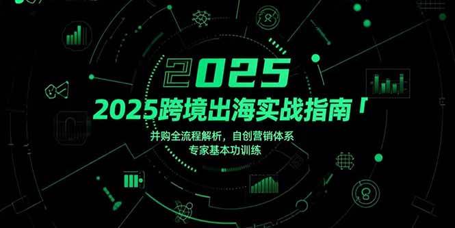 （15503期）2025跨境出海实战指南，并购全流程拆解，自己搭营销体系，专家基础技能训练-安索博客网