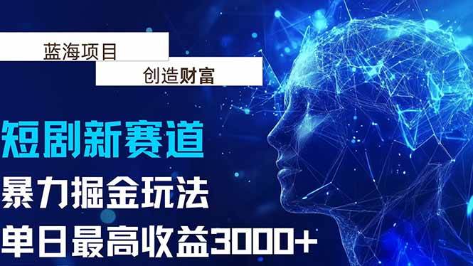 抖音新赛道，暴力掘金玩法，一天最高赚3000+-安索博客网