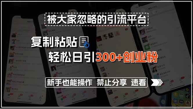 被大家忽视的引流“宝藏地”，复制粘贴就能轻松日引300+创业粉，小白也能上手-安索博客网