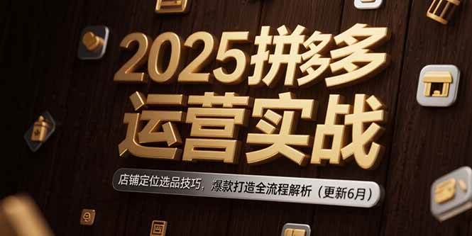（15235期）2025拼多多运营实战：店铺定位选品技巧，爆款打造全流程解析（更新至6月）-安索博客网