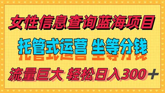 稳定日入300+，小众信息查询蓝海项目，全程懒人式托管，解放你的时间-安索博客网
