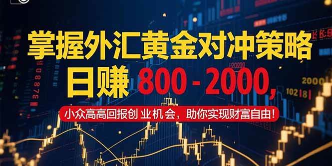轻松玩转外汇黄金对冲，每天稳赚800到2000块，小众高回报的创业路子，带你飞~-安索博客网