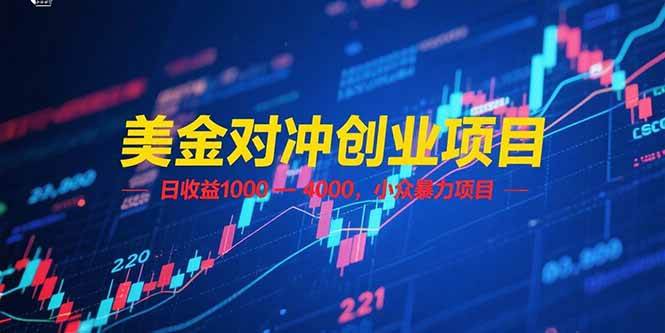 美金对冲创业项目，每天躺赚1000-4000块，超小众的暴利路子-安索博客网