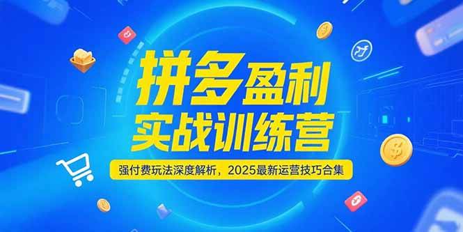 拼多多赚钱实战课：强付费玩法拆解，2025最新运营技巧合集-安索博客网