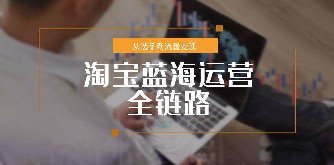 淘宝蓝海运营全链路：从小类目突围到流量变现，这套方案给你讲透了-安索博客网