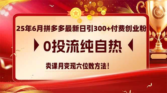 25年6月拼多多最新玩法，日引300+创业粉，不花钱纯自然流量，卖课月入六位数-安索博客网