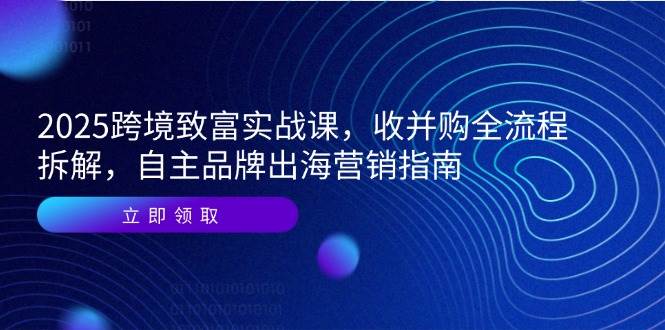 2025年跨境赚钱实战课，手把手教你收并购全流程，自主品牌出海怎么玩-安索博客网