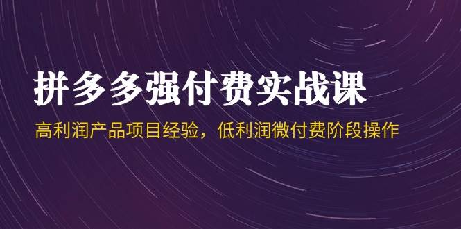 拼多多强付费实战课-44期：高利润产品怎么玩，低利润微付费阶段怎么干-安索博客网