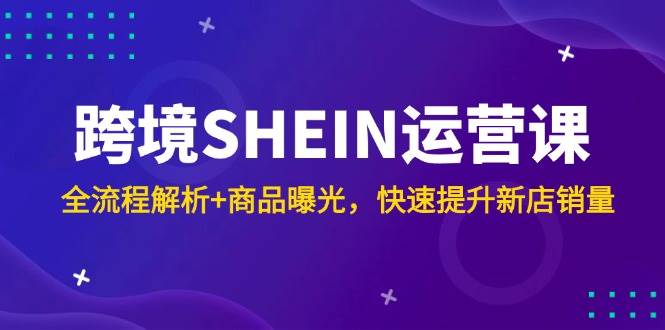 跨境SHEIN运营课，手把手教你新店销量飞起！-安索博客网