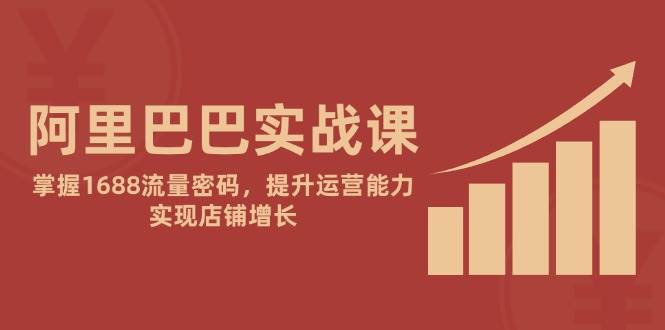 （14830期）阿里巴巴实战课：1688流量密码，轻松提升运营，让店铺增长飞起-安索博客网
