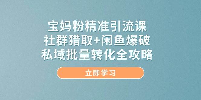 宝妈粉精准引流实战课：社群挖粉+闲鱼爆单+私域转化，手把手教你搞定本地母婴流量-安索博客网
