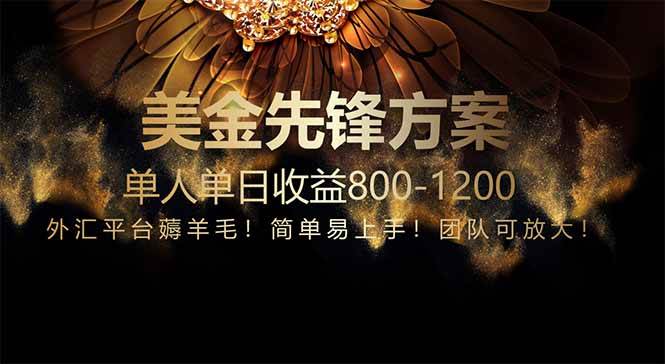 免费技术！小众赛道！一年布局抵三年努力，每天800+-安索博客网