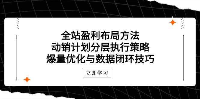 （14698期）全站怎么赚钱？布局、动销、爆量一条龙搞定-安索博客网