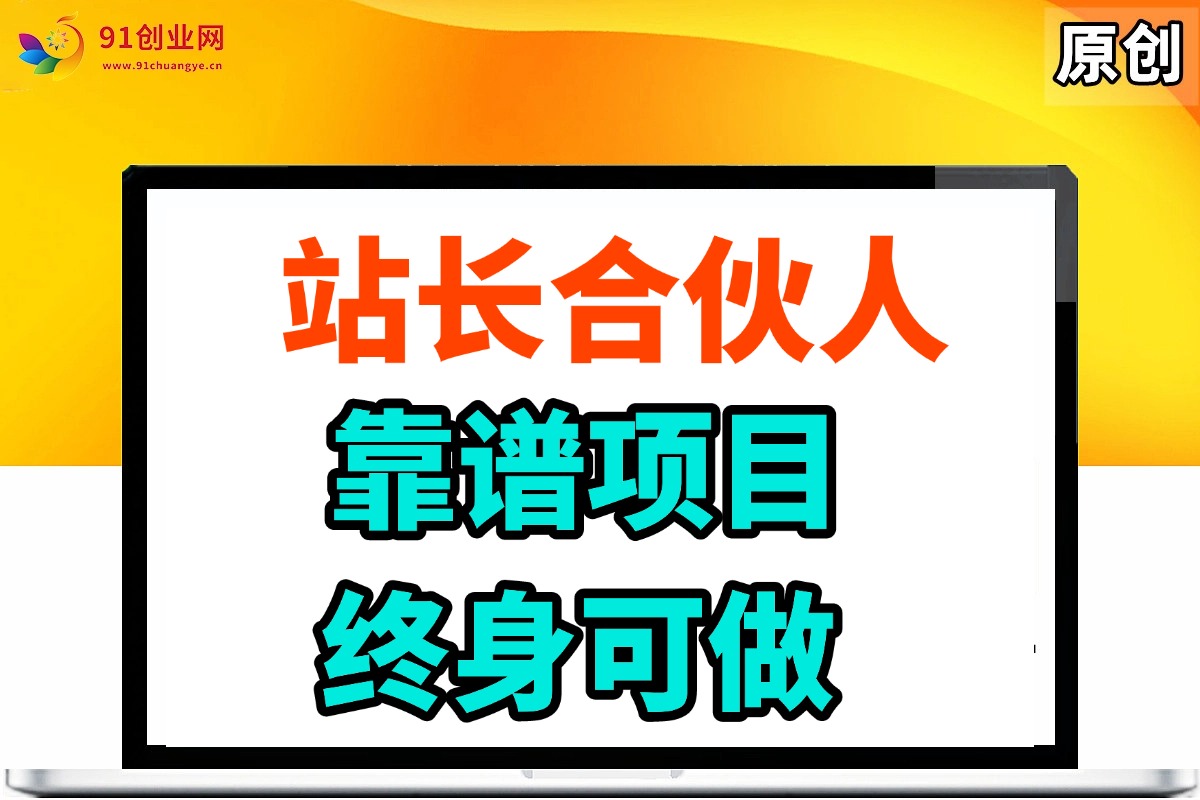 站长合伙人，小白也能轻松上手的靠谱项目，一次投入长期赚钱-安索博客网