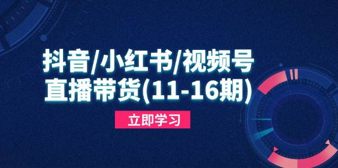 （14611期）抖音/小红书/视频号/直播带货（11-16期），轻松搞定平台规则，做出爆款内容-安索博客网