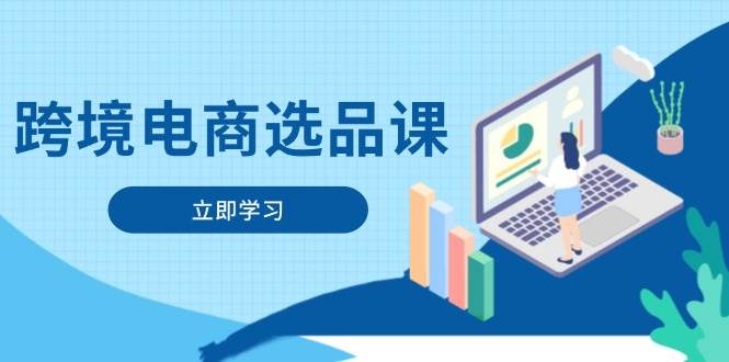 跨境电商选品课：2024-2025蓝海市场全攻略-安索博客网