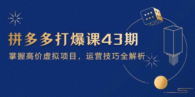 拼多多打爆课第43期，玩转高价虚拟项目，全套运营技巧全拆解（15节课）-安索博客网