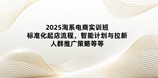 2025淘系电商实训班：手把手教你标准起店，玩转智能计划和人群推广-安索博客网