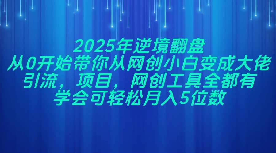 2025年逆风翻盘，手把手带你从网创小白变大佬，引流、项目、工具全都有-安索博客网