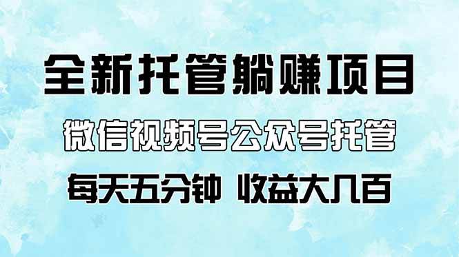 全新托管躺赚项目：微信视频号和公众号代运营，每天5分钟，收益大几百-安索博客网