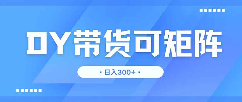 （14414期）DY带货，每天赚300+，矩阵搞起来没上限-安索博客网