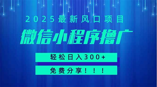 微信小程序薅羊毛，最新爆款项目，每天多赚300+，免费教学，能批量操作，新手也能轻松搞定！-安索博客网