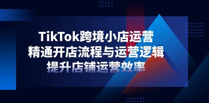 （14369期）TikTok跨境小店运营：开店、运营逻辑全搞定，店铺效率飞起-安索博客网
