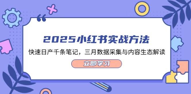 2025小红书实战玩法，日更千条笔记不是梦，三月数据大揭秘-安索博客网