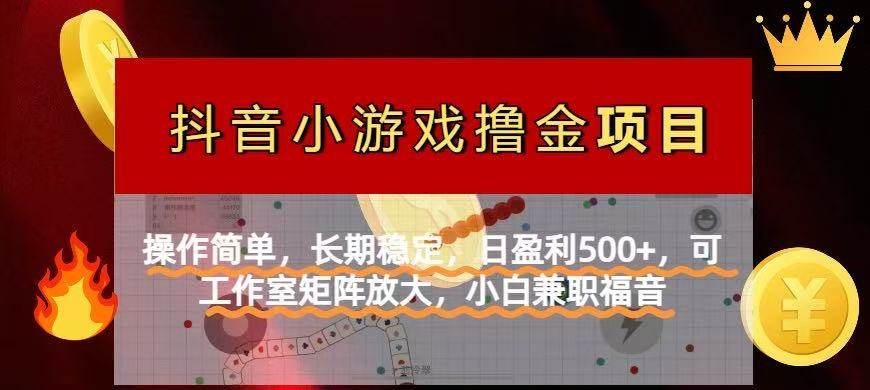 【抖音小游戏发行人计划】超简单！每天稳赚500+，长期干下去的那种~-安索博客网