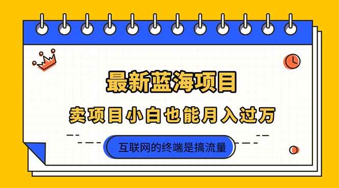 2025年最新蓝海项目：卖项目，小白也能月入过万-安索博客网