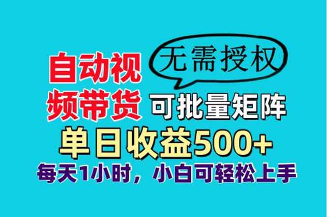 （14229期）自动视频带货，能批量操作，一天赚500+，睡觉也能有收入，小白也能轻松上手-安索博客网