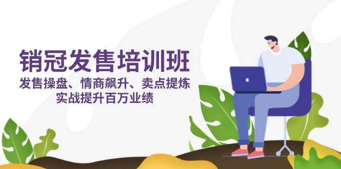 （14203期）销冠发售培训班：发售操盘+情商飙升+卖点提炼，实战搞定百万业绩-安索博客网
