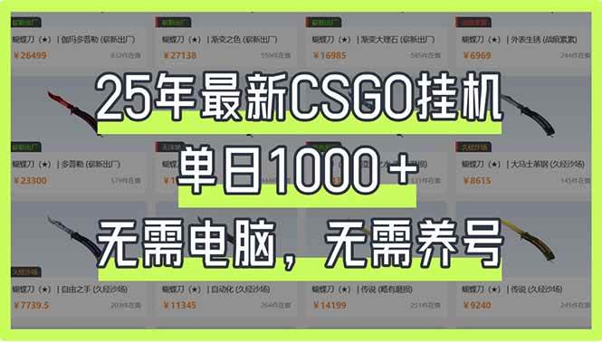 25年最新CSGO挂机系统，每天轻松赚1000+，没电脑也能玩，0基础就行-安索博客网