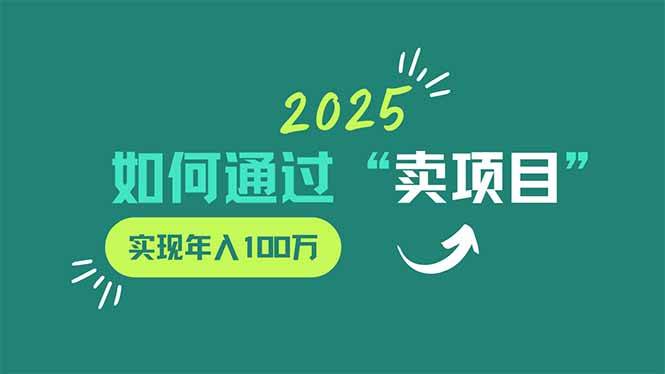 2025年，靠“卖项目”年入100万？这事儿真能成！-安索博客网