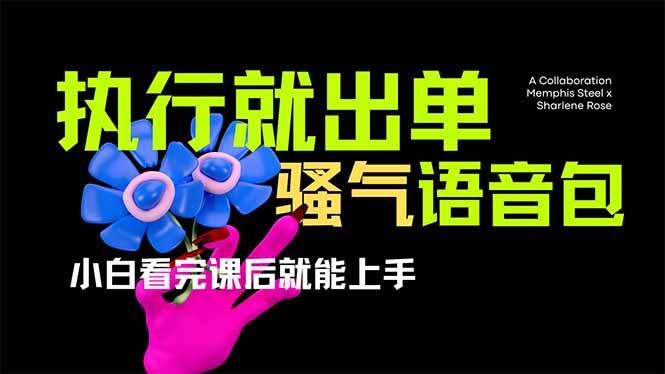 开车导航骚气语音包，小白也能轻松赚钱-安索博客网