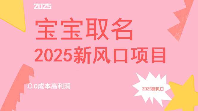 2025年超火的新项目：给宝宝取名，零成本高回报，还有超详细教程，月入过万没那么难-安索博客网