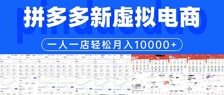 （17978期）拼多多虚拟电商：一个人一家店，轻松月入过万不是梦-安索博客网