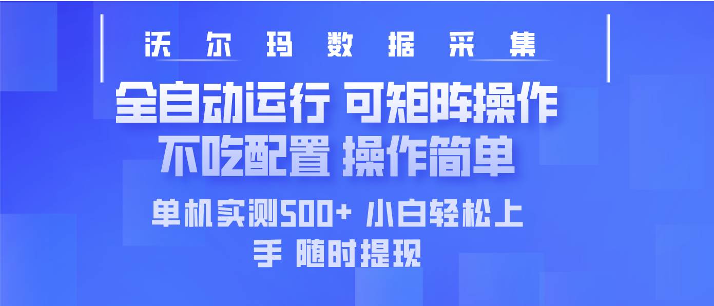 第14560期：沃尔玛平台最新采集玩法，全自动挂机赚钱，实测单机500+没问题-安索博客网