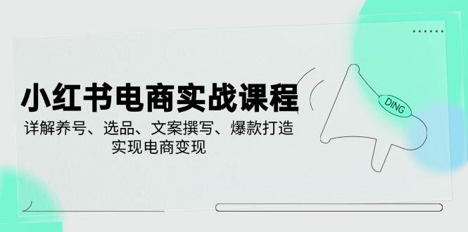 14549期 小红书电商实战课：手把手教你养号、挑好货、写爆款文案，轻松赚钱-安索博客网